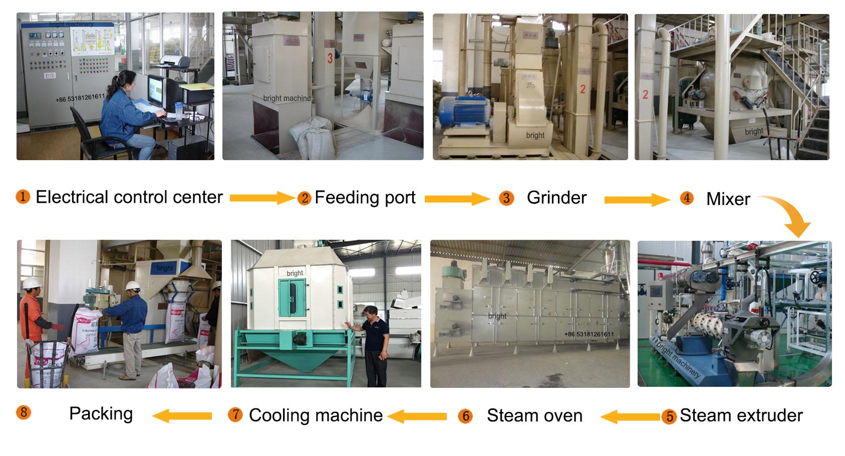 feed fish machine